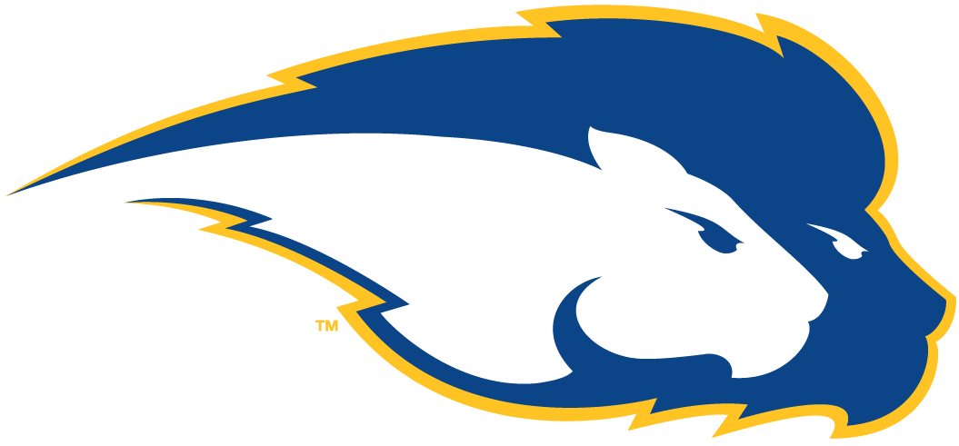 Hofstra Pride 2005-Pres Secondary Logo vinyl decal